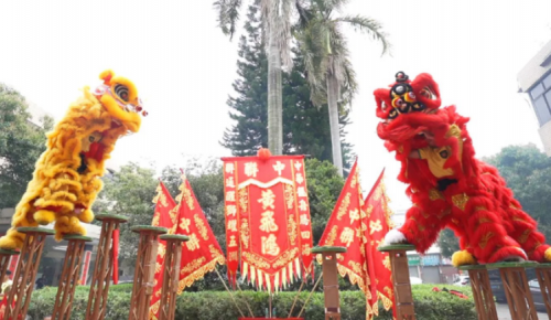 龙腾狮跃，，，共铸绚烂未来！